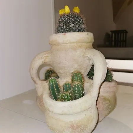 Apartmán Archetipo Lecce